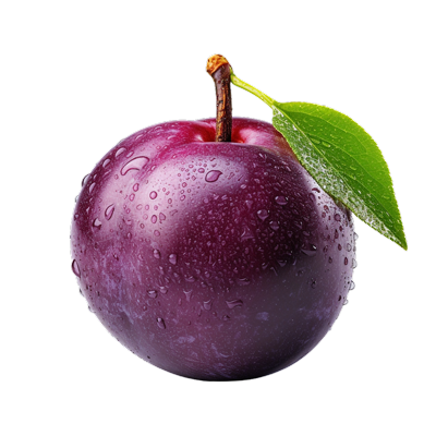 Моченая (квашеная) слива